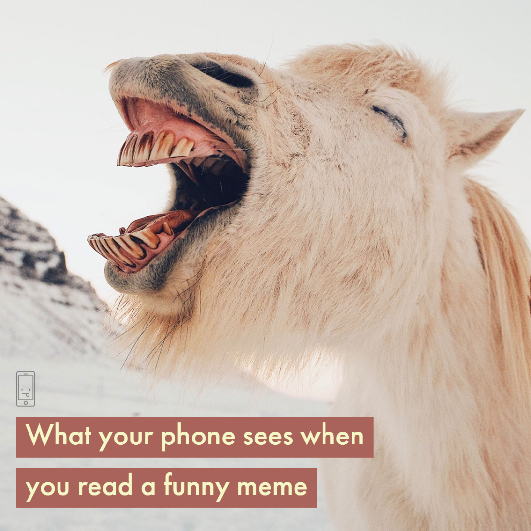 meme