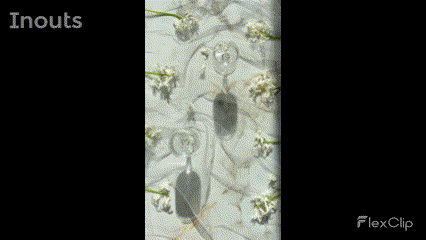 watermarked image