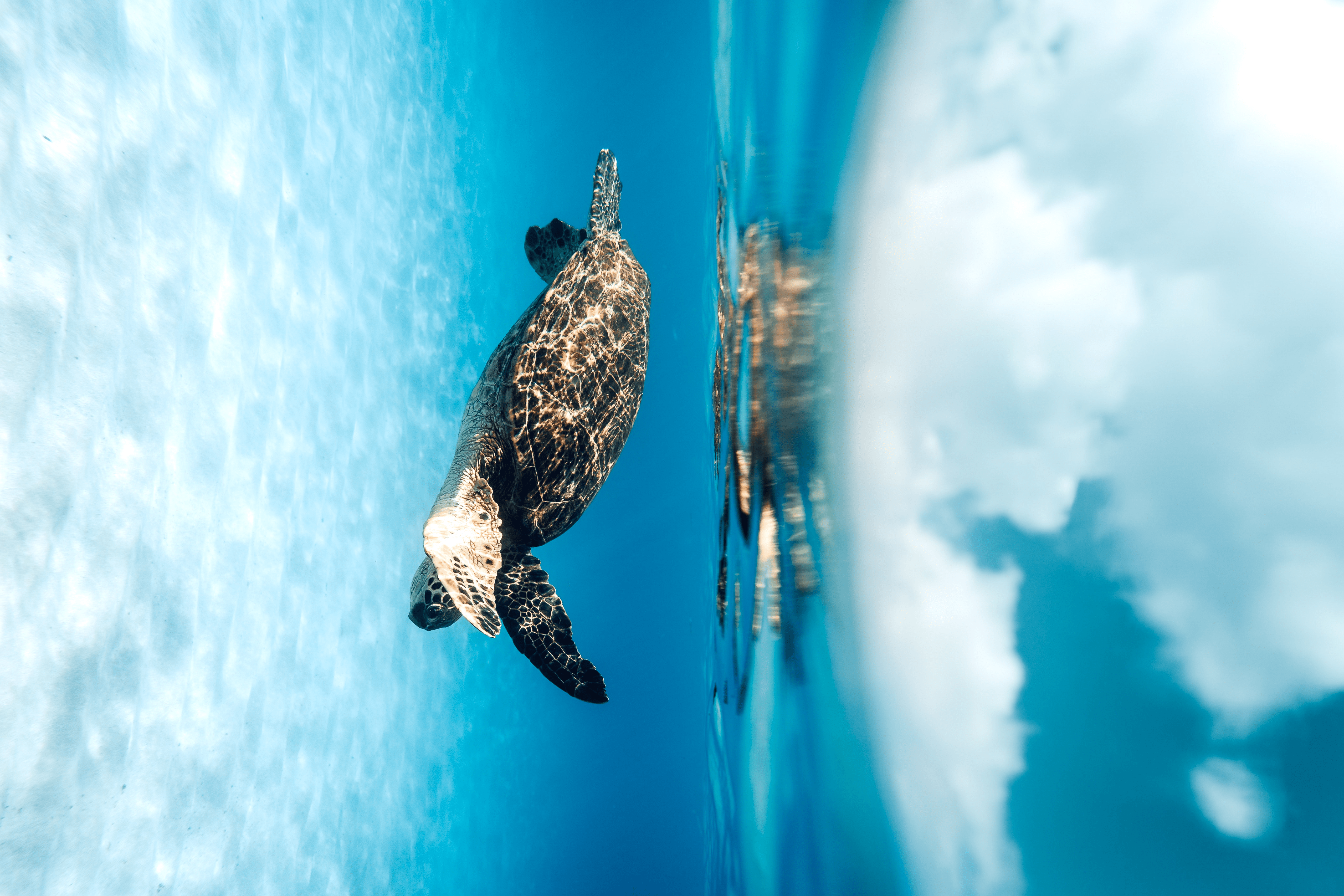 rotated image