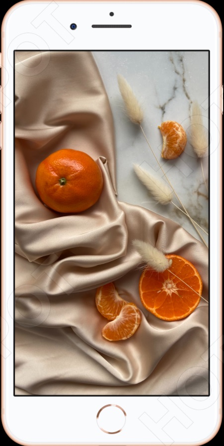 iPhone 8 Plus Mockup