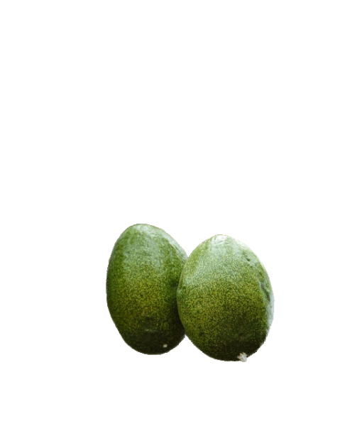 image with removed background