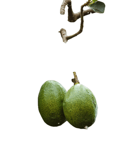 image with removed background