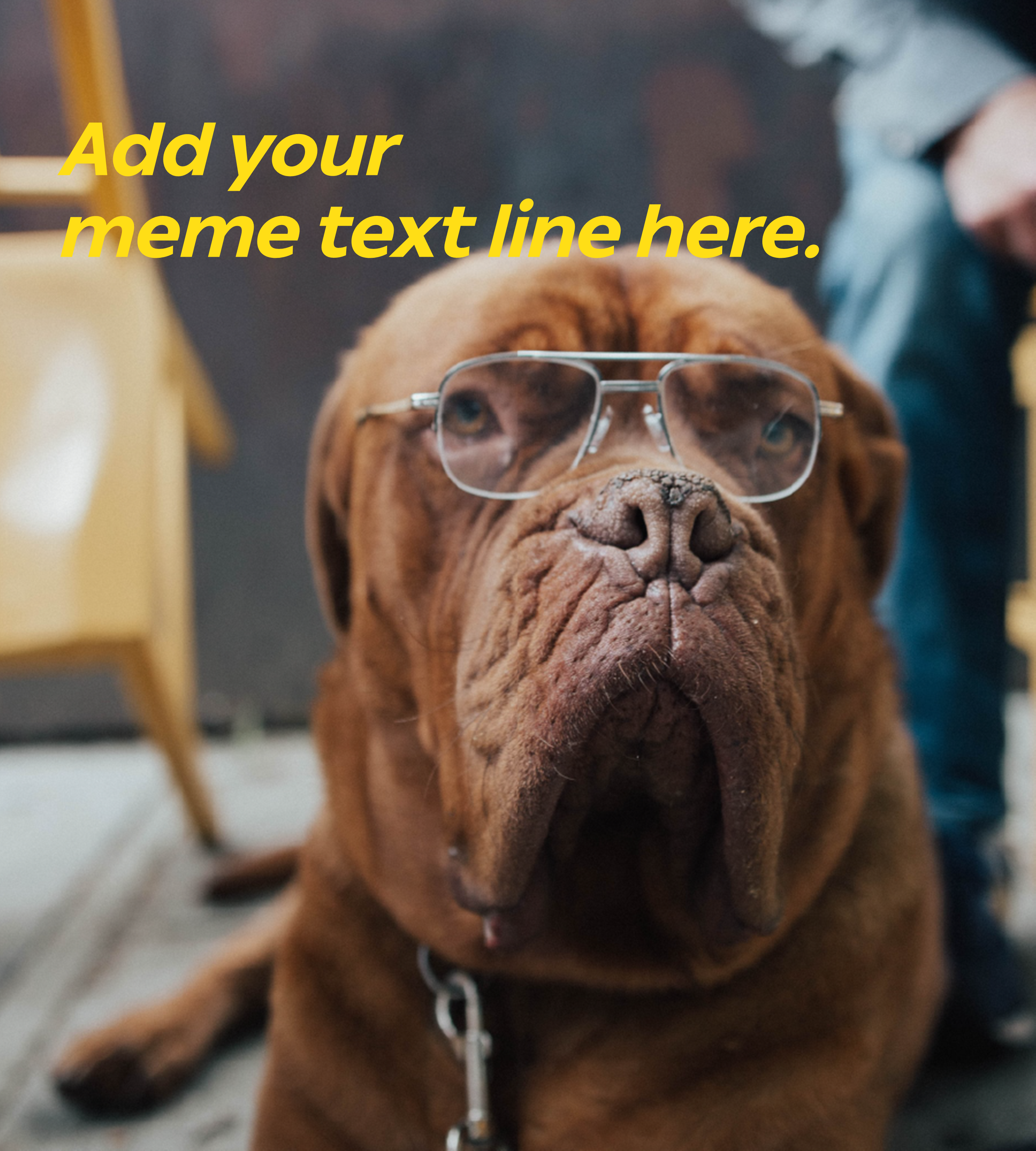 meme image