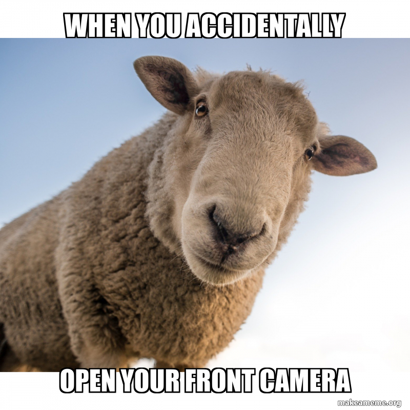 meme
