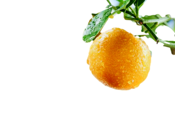 image with removed background