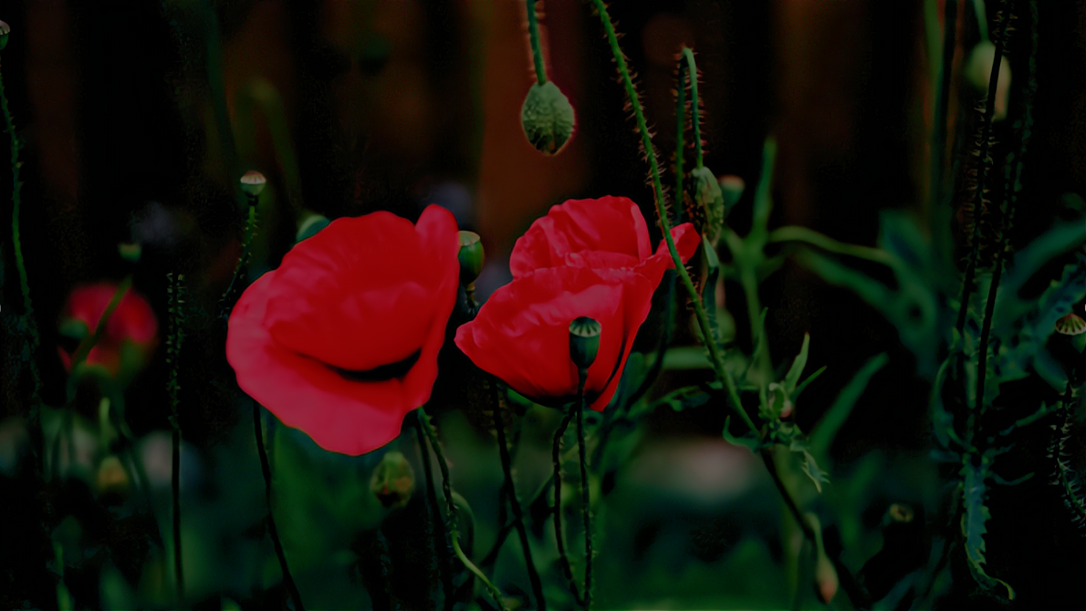 sharpened image