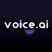 Real Time Voice Changer for PC logo